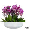 A high quality Eighteen purple orchids arrangement with a vase 20&quot; D