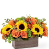 Bright, bold and overwhelmingly beautiful, what&#039;s not to love about this charming
