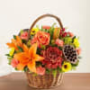 We find comfort in caring words and kind gestures during times of