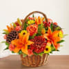 We find comfort in caring words and kind gestures during times of