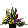Aloha, Tropical Ginger, Birds Of Paradise, Purple Dendrobium Orchids, Yellow Cymbidium Orchids