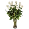A dozen white roses are a classic gift! Perfect for any type