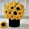 Black box with Sunflowers. 