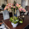 5 single stem phalaenopsis
All arrangements are customizable with different colors of orchids.
Flower