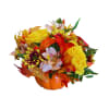 Elevate your fall d&eacute;cor with our Petite Pumpkin arrangement, nestled in a