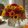 Infuse your space with the rich hues of fall with our Golden