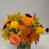 Lovely Autumn Colors 
