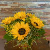 Classic Cheery Sunflowers in a clear glass cube. Great for a variety