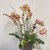 A seasonal orchid planter with Halloween accents
