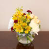 Cute little arrangement with bright colored flowers. Nice and compact for a