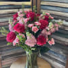 Fresh &amp; Beautiful!
