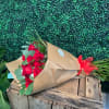 Beautiful 2 Dozen Ecuadorian red roses wrapped in brown paper. 