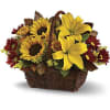 Send warm autumn sunshine to a special friend or relative with this