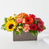 The beautiful shades of fall, all boxed up and ready to delight.