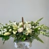 Experience the profound beauty of compassion with the Heavenly Sympathy All Around