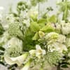 Little Peony Signature Collection &ndash; Enchanted Garden
Step into pure magic with Enchanted