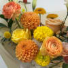 Bright, cheerful, and full of life. November celebrates with radiant orange and