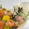 Bright, cheerful, and full of life. November celebrates with radiant orange and