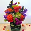 Everyone loves Halloween! This fabulous little number is in limited supply so