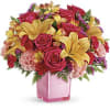 Pop go the petals! This festive, fun-loving mix of flowers is a