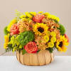 Rustic, natural beauty and vibrant shades fill this arrangement. Our Harvest Sunflower