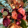 A warm and seasonal mix of the best that Autumn has to