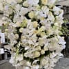 100 roses and hydrangeas and orchids