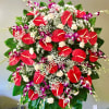 anthuriums, carnations, babies breath &amp; orchids (white or purple) 

