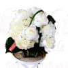 This exquisite arrangement features vibrant peonies and lush hydrangeas elegantly presented in