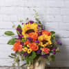 All the bright and warm, vibrant colors of summer in one great