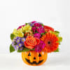 Full of colorful blooms, this jack-o&rsquo;-lantern is sure to delight for seasonal