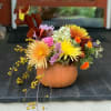 Sweet ceramic pumpkin jar, complete with lid for use after the flowers