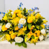 In our darkest hours, a radiant display of sunshine is sure to