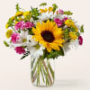 Bask in the light of these sunflowers, colorfully accented by daisies and