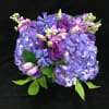 A passionate mix of purple hydrangea, lisianthus, stock and hyacinth. SUBSTITUTIONS WILL