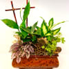 This elegant Dish Garden includes 6 lush plants that will add fresh