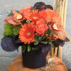 Our signature style, but with a Halloween twist! Always elegant; never creepy.

Available