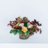 Celebrate the changing of the seasons with our new Fall Collection! Inspired