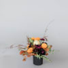 This stunning holiday arrangement is made up of holiday black roses, oranges
