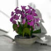 A high quality Four purple orchids arrangement with a vase 13&quot; D