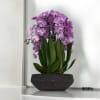 A high quality Six pink orchids arrangement with a vase 14&quot; D