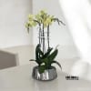 A high quality Triple yellow orchids arrangement with a vase 9&quot; D
