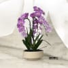 A high quality Triple pink orchids arrangement with a vase 9.5&quot; D