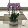 A high quality Four pink orchids arrangement with a vase 13&quot; D