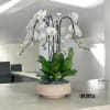A high quality Four white orchids arrangement with a vase 11.5&quot; D