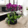 A high quality Eight purple orchids arrangement with a vase 14&quot; D