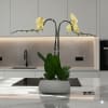 A high quality Double white orchids arrangement with a vase 8.5&quot; D