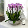 A high quality Eight pink orchids arrangement with a vase 16.5&quot; D