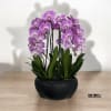 A high quality Six pink orchids arrangement with a vase 15&quot; D