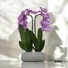 A high quality Double pink orchids arrangement with a vase 8.5&quot; D